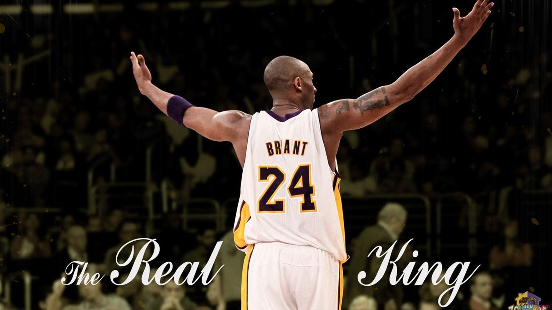 体育焦点快讯全网热议,体育焦点事